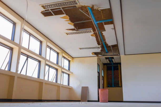 Best Mold removal after water damage  in Harbor Isle, NY