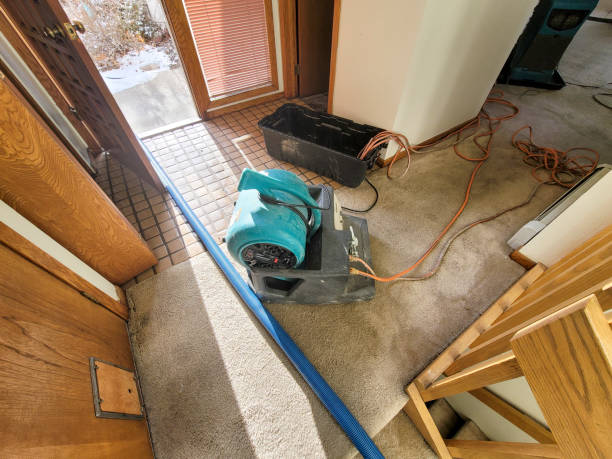 Best 24-hour water damage restoration  in Harbor Isle, NY