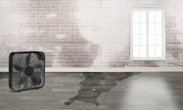 Best Fire Damage Restoration  in Harbor Isle, NY