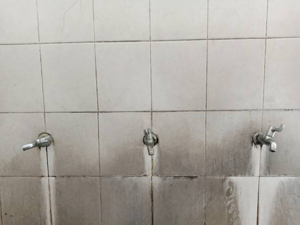  Harbor Isle, NY Water damage restoration Pros