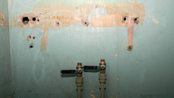 Best Water damage restoration near me  in Harbor Isle, NY