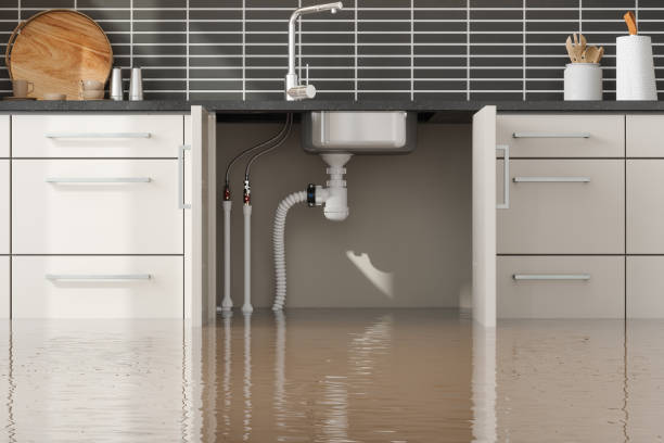 Reliable Harbor Isle, NY Water damage restoration Solutions