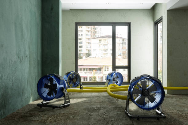 Best Sewage cleanup and water damage restoration  in Harbor Isle, NY